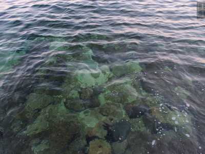 Per tuffarsi cos� da una costa scogliosa, senza sabbia, ma �profumata� e lambita da un�acqua dai riflessi verdi e blu